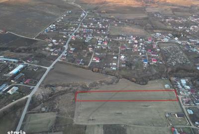Teren de 5300 mp, în Răducăneni - 4