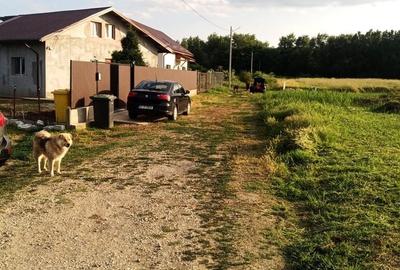 Spațiu comercial, în Domnești