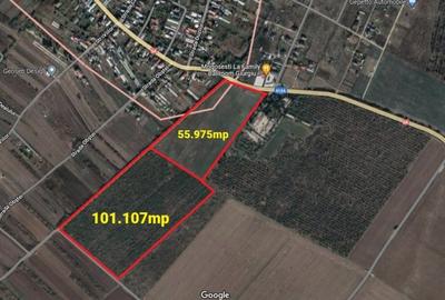 Teren Construcții intravilan de 155000 mp, în Mogoșești - 2
