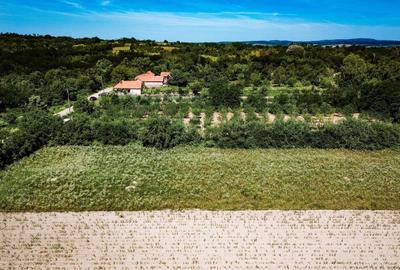 Teren de 2900 mp, în Fârliug - 1