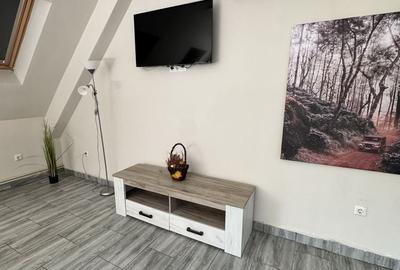 Apartament cu 2 camere decomandat în Exterior Vest - 2