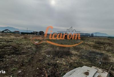 Spațiu comercial, în Sânpetru - 3