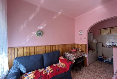 Apartament cu 2 camere semidecomandat, mobilat în Iosefin - 4