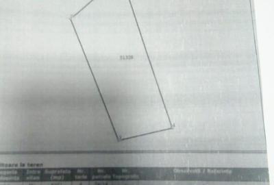 Teren de 8900 mp, în Ciolpani - 2