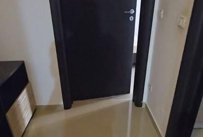 Apartament cu 2 camere decomandat în Dobroești - 6
