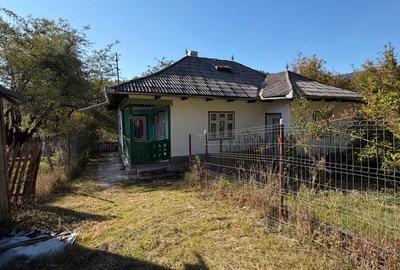 Teren de 1500 mp, în Hangu