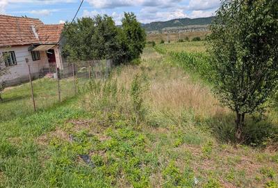 Casă cu Teren 3000 Mp în Albești