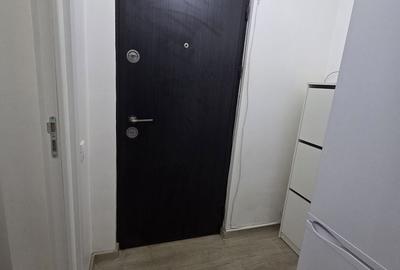 Apartament cu 2 camere semidecomandat, mobilat în Viziru 1 - 1