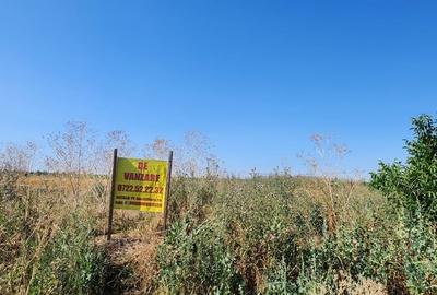 Teren Construcții intravilan de 1000 mp, în Pasărea - 6