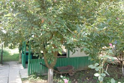 Casă cu 3 camere cu Teren 1220 Mp în Comana - 8