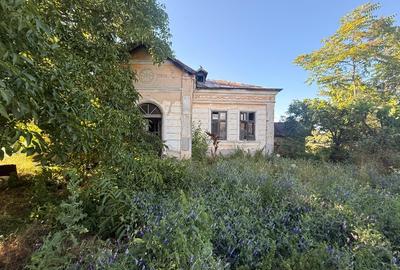 Casă individuală cu 3 camere cu Teren 2894 Mp în Segarcea-Vale