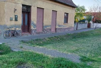 Casă cu Teren 2158 Mp în Comloșu Mare - 10