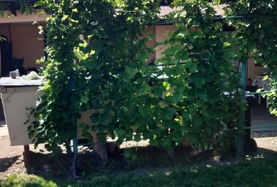 Casă cu 4 camere cu Teren 2300 Mp în Năvodari - 5