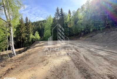 Teren de 18000 mp, în Central - 15