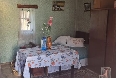 Casă individuală cu 2 camere cu Teren 3800 Mp în Berislăvești - 9