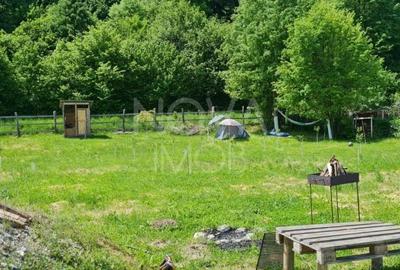 Teren agricol extravilan de 2491 mp, în Vest - 4