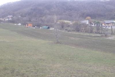 Spațiu comercial, în Vlădești - 5