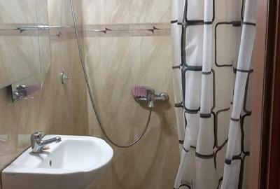 Garsonieră decomandată, mobilată în Sala Palatului - 8