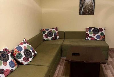 Apartament cu 2 camere semidecomandat în Tineretului - 1