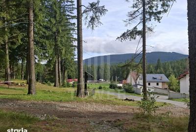 Casă cu Teren 250 Mp în Câineni - 5