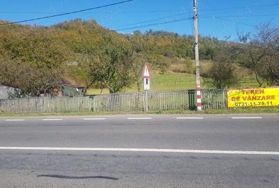 Teren de 4500 mp, în Ciucea - 1