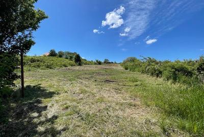 Teren Construcții intravilan de 1616 mp, în Bârnova