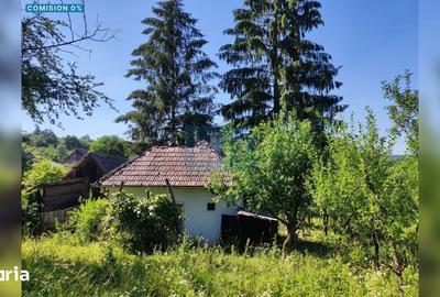 Teren de 72000 mp, în Sânpaul - 1