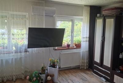 Apartament cu 2 camere decomandat în Craiovița Nouă - 2