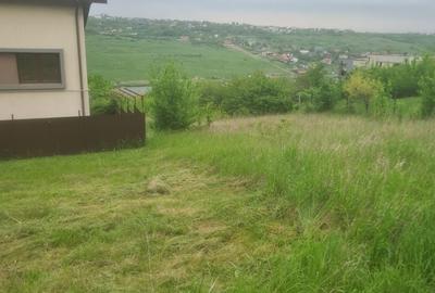 Teren de 500 mp, în Valea Lupului - 6