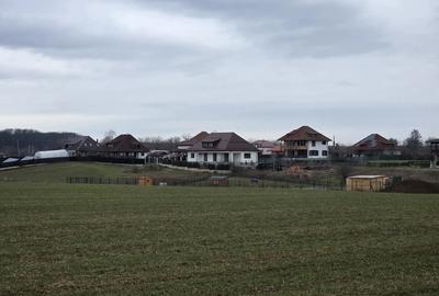 Teren de 10000 mp, în Bălteni - 9