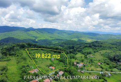 Teren Construcții intravilan de 19822 mp, în Runcu - 3