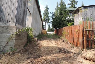 Teren de 500 mp, în Muntele Băișorii - 5