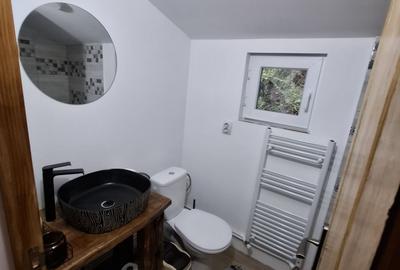 Casă cu 3 camere cu Teren 700 Mp în Greșu - 3