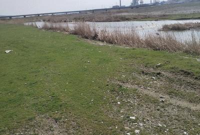 Teren de 5500 mp, în Ruși-Ciutea - 12