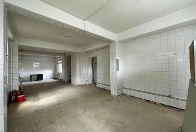 Spațiu comercial, de 500 mp, în Central - 7