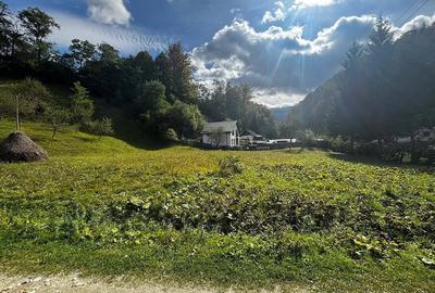 Teren de 2500 mp, în Central