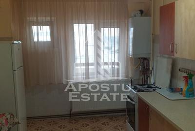 Apartament cu 2 camere, mobilat în Aradului - 12