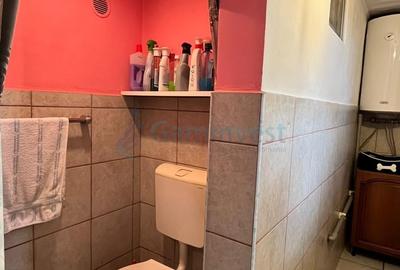 Casă individuală cu 4 camere cu Canalizare în Dragoș Vodă - 12