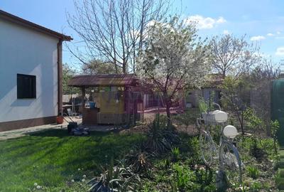 Casă individuală cu 5 camere cu Teren 958 Mp în Tineretului - 19
