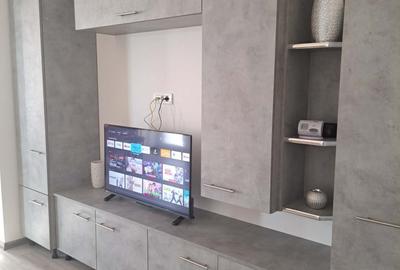 Apartament cu 2 camere semidecomandat în Calea Urseni - 3