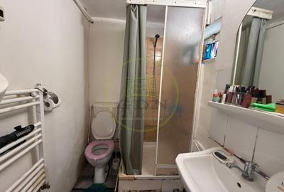 Casă individuală cu 3 camere cu Canalizare în Brestei - 8