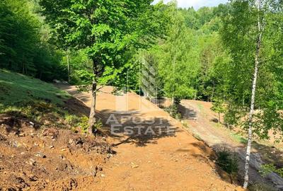 Teren Construcții extravilan de 18000 mp, în Exterior Sud - 31