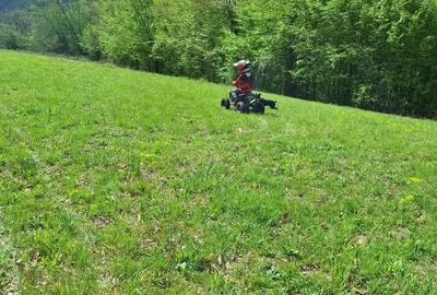 Teren de 46000 mp, în Slatina de Mureș - 7