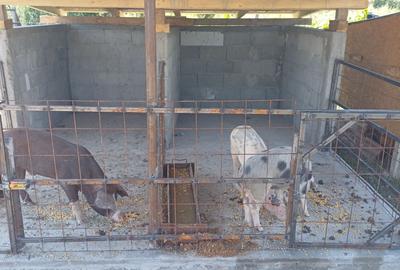 Casă cu 4 camere în Hurezani - 1