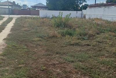 Teren de 370 mp, în Clinceni - 3