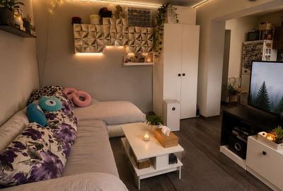 Apartament cu 2 camere semidecomandat în Vladimirescu - 3