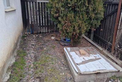Casă cu 1 camere decomandat în Lumina - 6