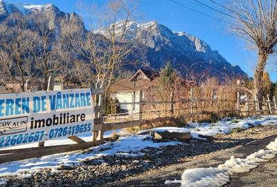 Teren de 2675 mp, în Poiana Țapului - 3