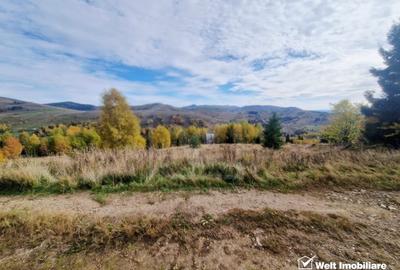 Teren Construcții intravilan de 1000 mp, în Muntele Băișorii - 2