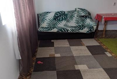 Casă cu 4 camere în Domnești